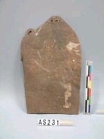 藏品(熊皮胸當)的圖片